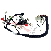 Wire Harness 36610-16H10 for Monkey LE MANS 50cc - 125cc (Before 10-2015)