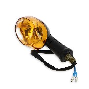 Front - Rear Turn Signal for T-REX 50cc - 125cc