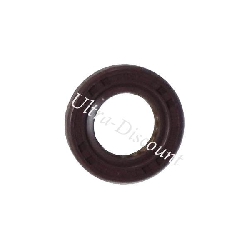 Oil Seal for Chinese Motor Scooter (17x30x8)