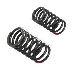 Valve Springs for Scooter 125c